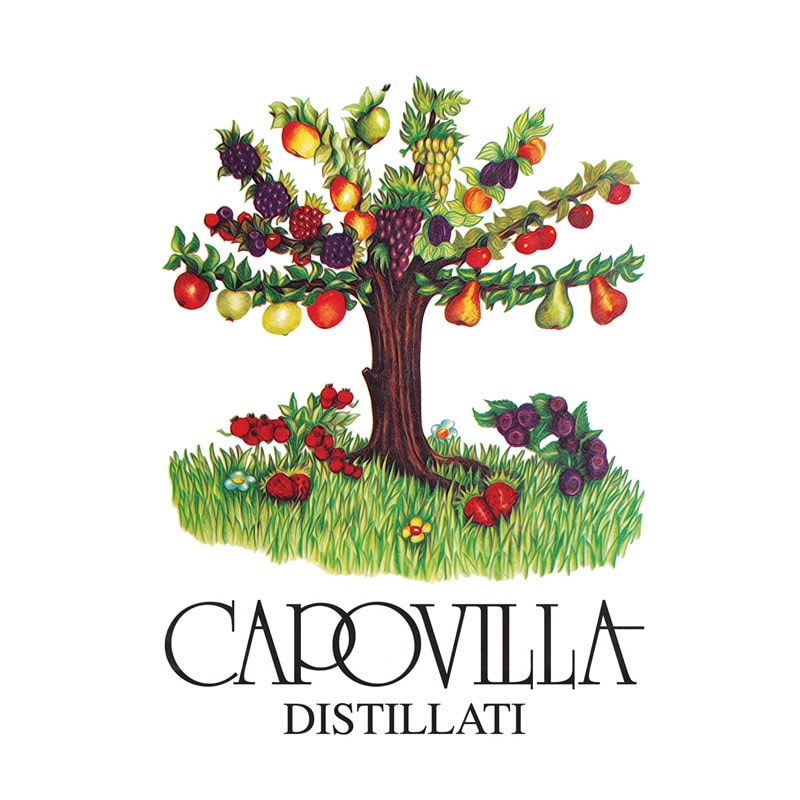 20220315042848 logo capovilla.jpg