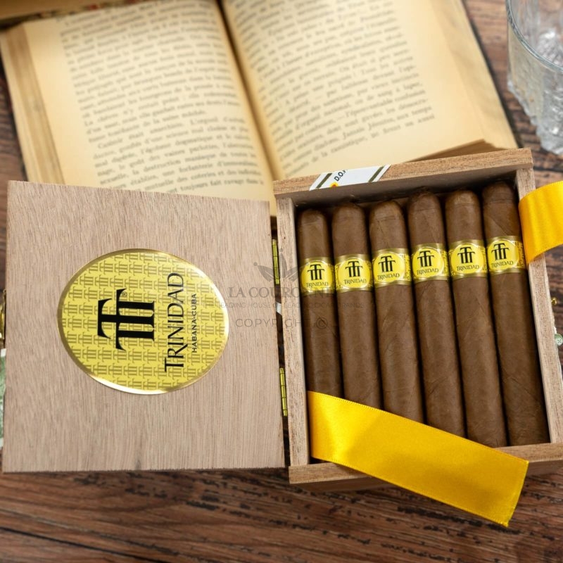 trinidad reyes sbn (24)