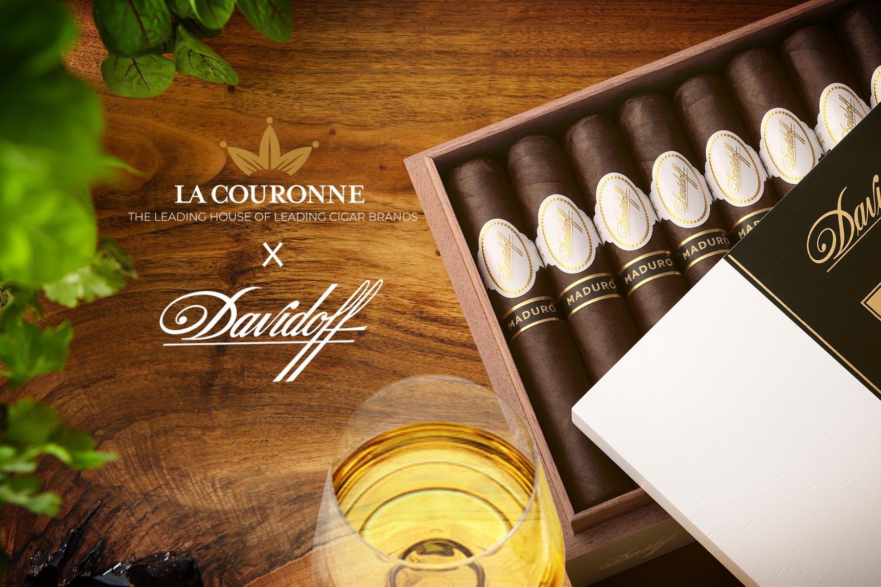 s14 banner la couronne x davidoff